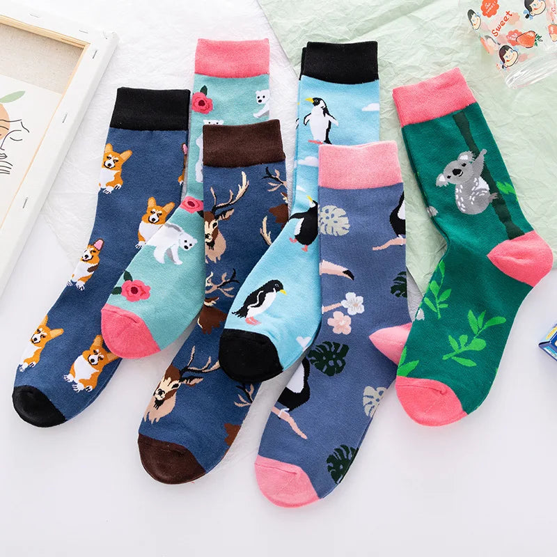 Premium Funny Socks - 5 Pairs